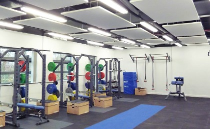 Acoustic panels gyms sports